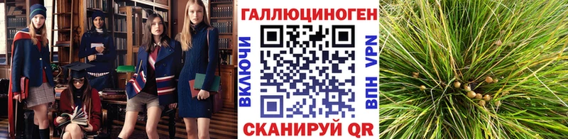 Псилоцибиновые грибы ЛСД Биробиджан
