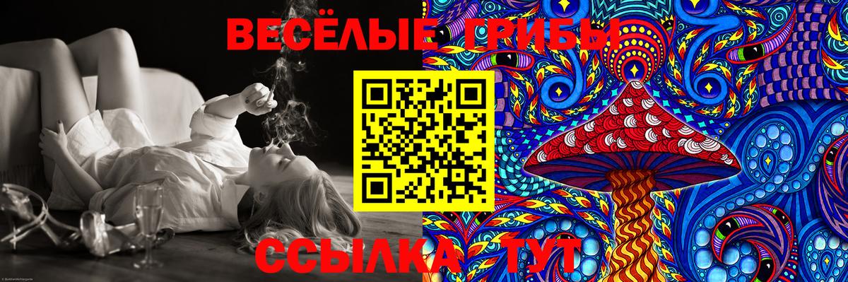 Псилоцибиновые грибы Magic Shrooms  Вход с VPN  Биробиджан 